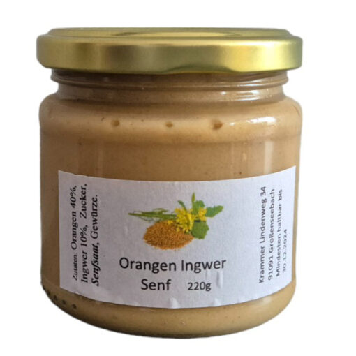 Orangen Ingwer Senf